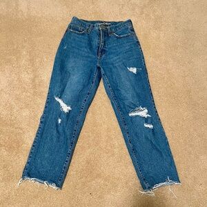Universal Thread Vintage Straight Jeans